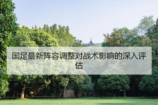 国足最新阵容调整对战术影响的深入评估